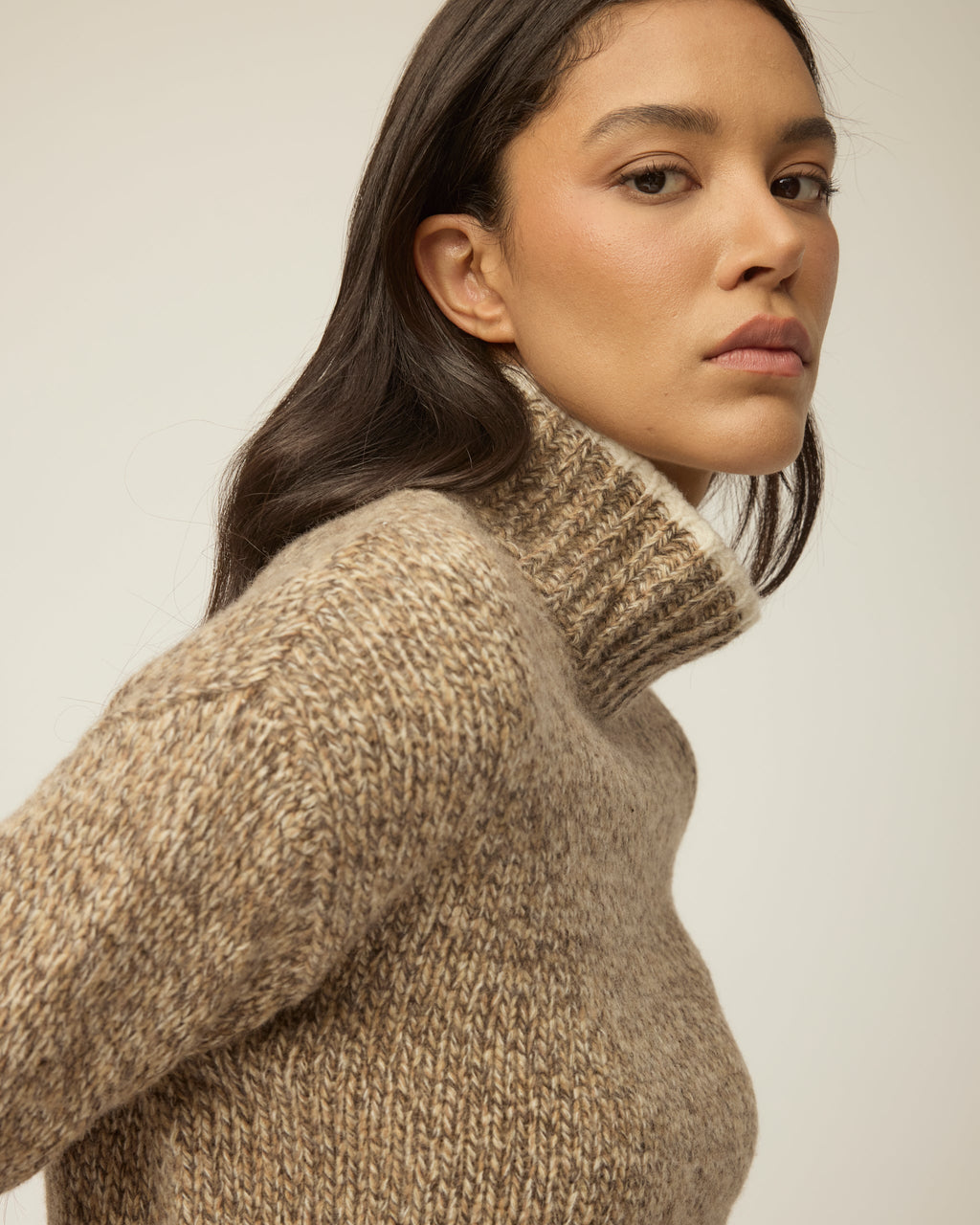 Marled Turtleneck Sweater
